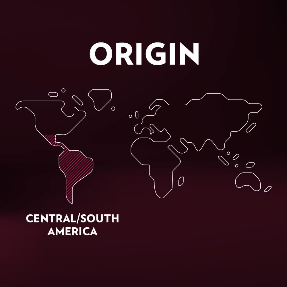 Lavazza Expert Espresso Classico Capsules