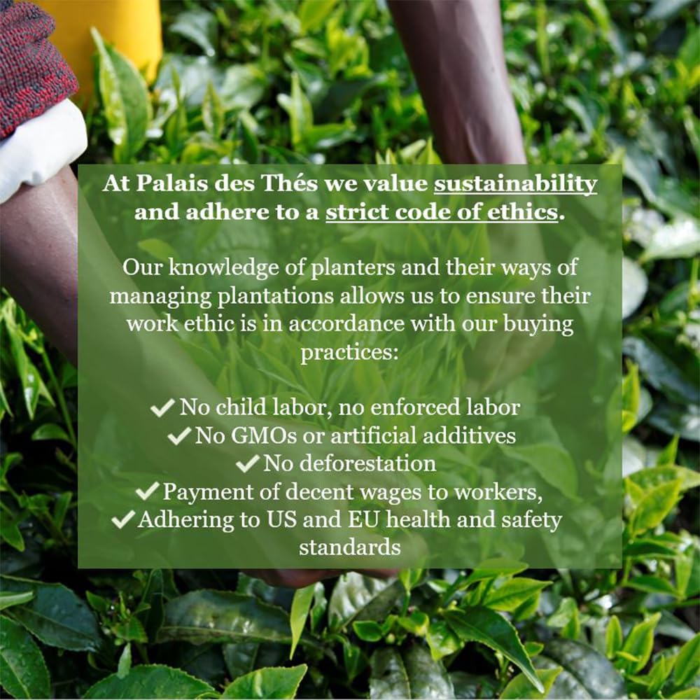 Palais des Thés - N°31 New Year's Eve Green Tea - Holiday Blend with Sweet Rose and Elderberry - 3.5oz Loose Leaf Metal Gift Tin, Serves 20-25 Cups