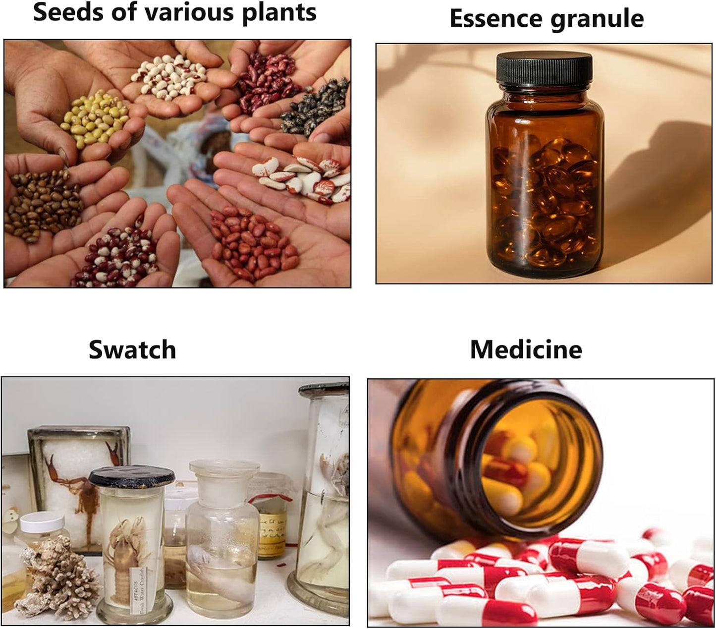 Wide Mouth Packer Bottle, Amber Glass, 500 ML (16 OZ) Capacity with 53-400 Black Polyethylene Screw Cap Lined PE Septa, Package of 12 Units