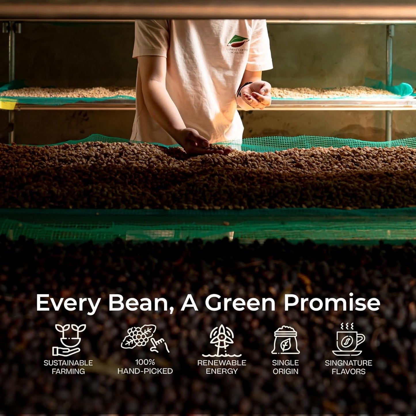 Conihat Whole Bean Coffee - 100% Vietnamese Premium Arabica, Dark Roast, Chocolate & Fruity Notes, Sweet Finish, Low Acid, Single Origin, Hand-Picked, 8.8 Oz Bag