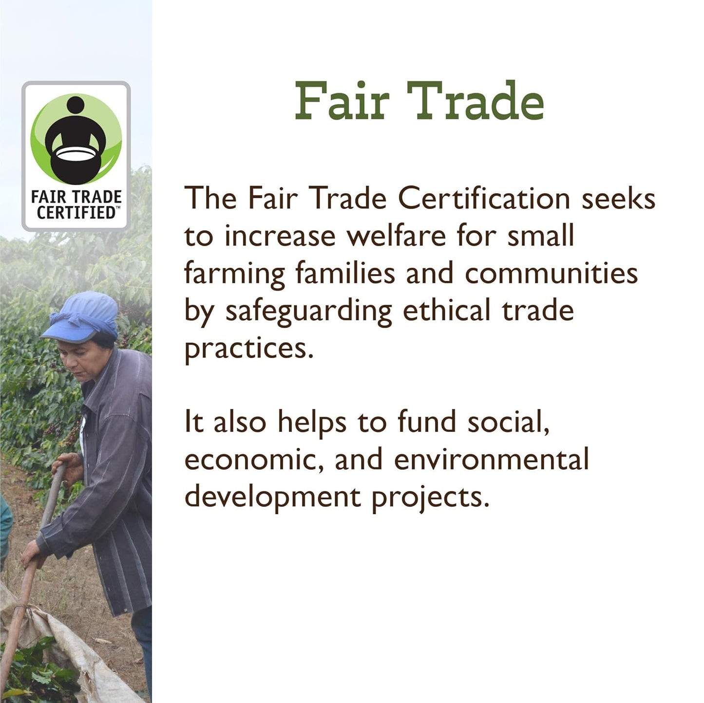 Fresh Roasted Coffee, Organic White Knight | USDA Organic, Kosher | Light Roast 72 Pods for K Cup Brewers