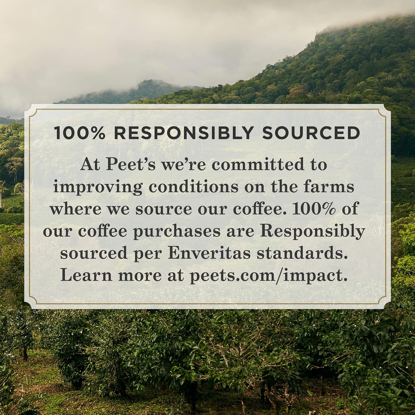 Peet's Coffee, Light Roast K-Cup Coffee Pods for Keurig Coffee Machines - Sun Catcher, 10 Count (1 Box of 10 K Cups)