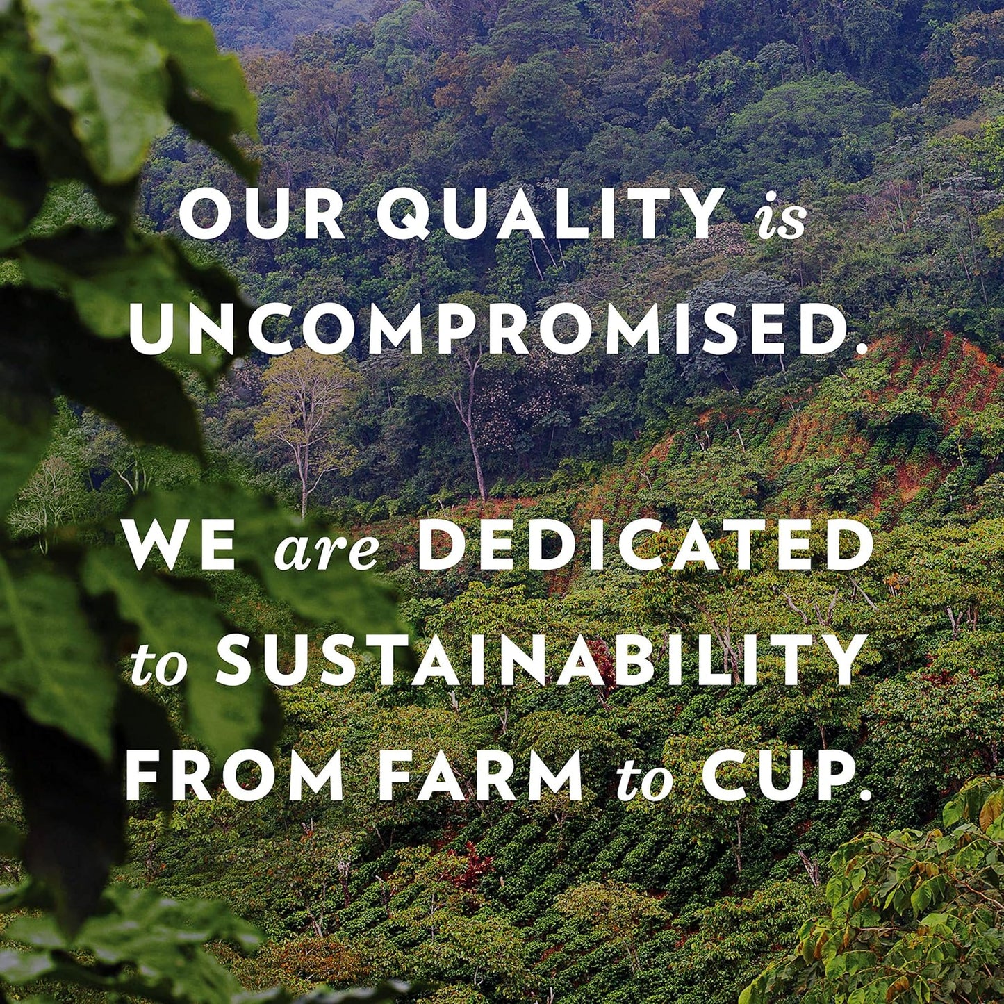 Community Coffee Pecan Praline Flavored 72 Count Coffee Pods, Medium Roast, Compatible with Keurig 2.0 K-Cup Brewers, 12 Count (Pack of 6)