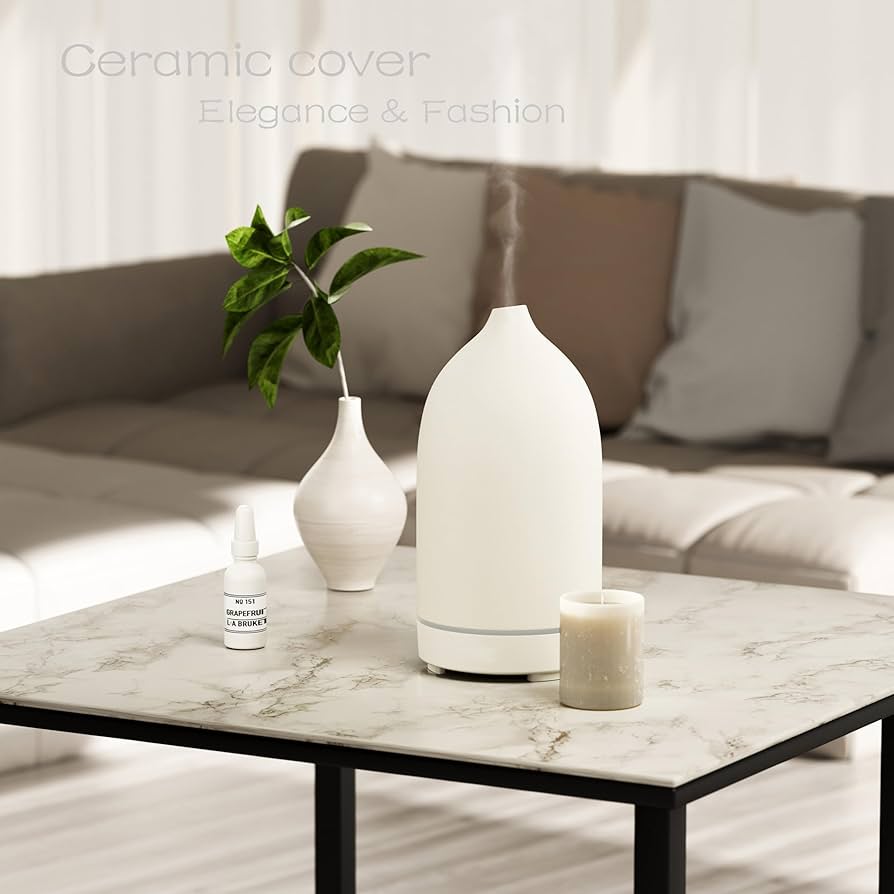 Modern Scent Diffusers for a Calming Home 🌸✨
