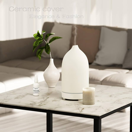 Modern Scent Diffusers for a Calming Home 🌸✨