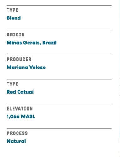 Joe Coffee Company - Great Heights Whole Bean Specialty Coffee, 12 oz Bag | NYC Roaster, Rainforest Alliance Certified, Kosher, Climate-Friendly