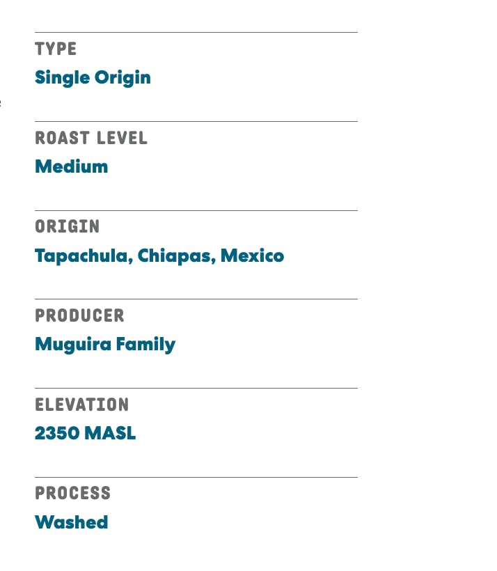 Joe Coffee Company - Nightcap Decaffeinated Whole Bean Specialty Coffee, 6 oz Bag | NYC Roaster, Rainforest Alliance Certified, Kosher, Climate-Friendly