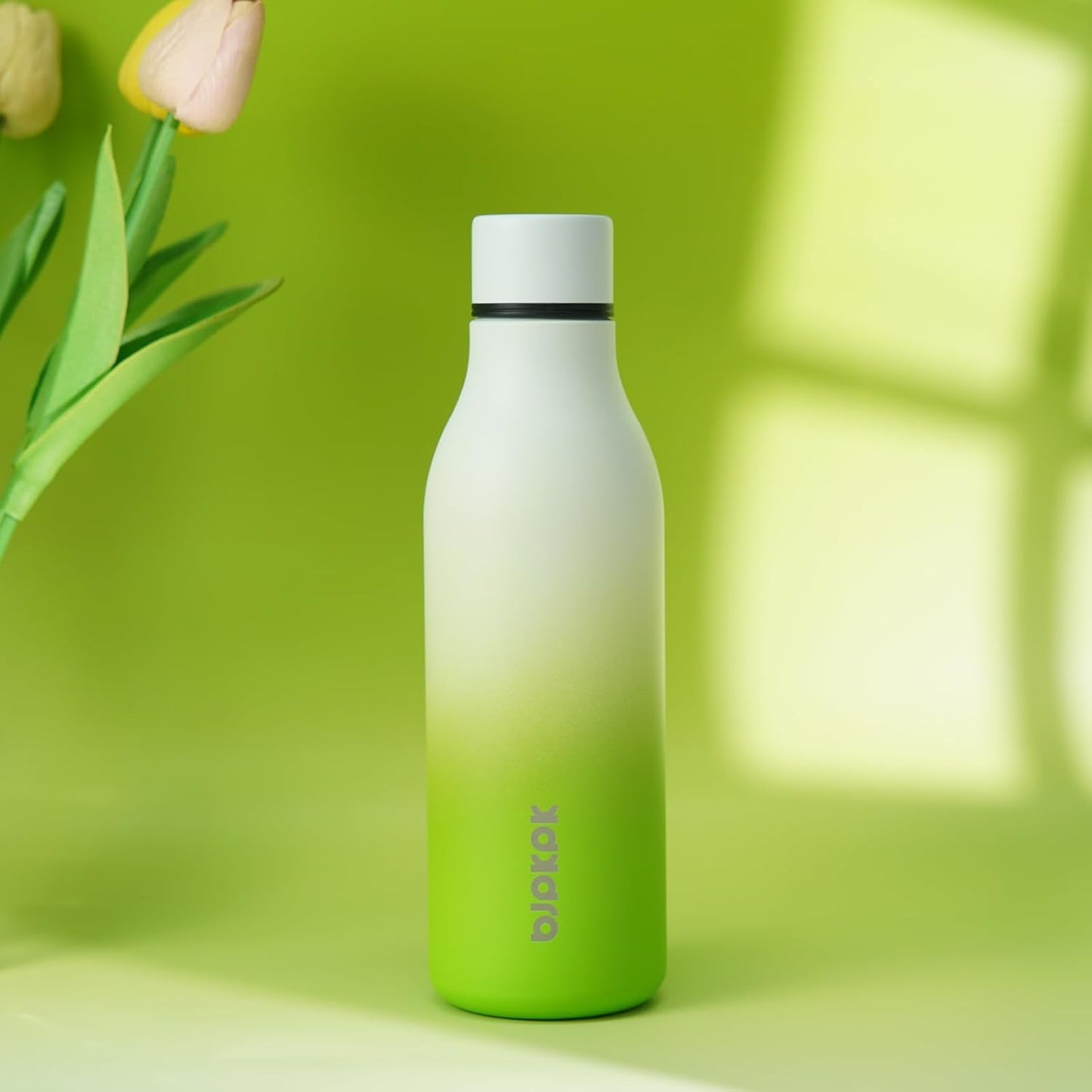 BJPKPK Insulated Water Bottles, 25 oz Stainless Steel Metal Water Bottle with Strap, BPA Free Leak Proof Thermos, Mugs, Flasks, Reusable Water Bottle for Sports & Travel, Elegant Green