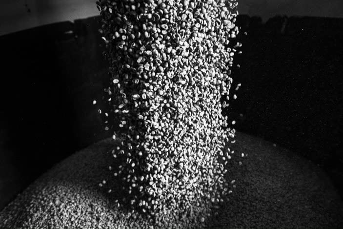 Bristot 100% Brasile Capsules compatible with Lavazza Blue* Machines | Medium Roast | 1050 Count