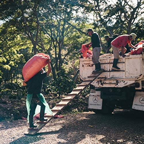 Fara Coffee, Whole Bean (Breakfast Blend, (Medium), 2.2 Lb)