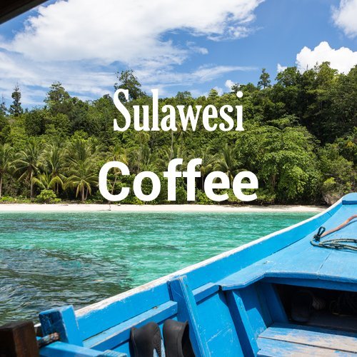 Sulawesi Coffee, Celebes Kalossi, Ground, Fresh Roasted, 16-ounce