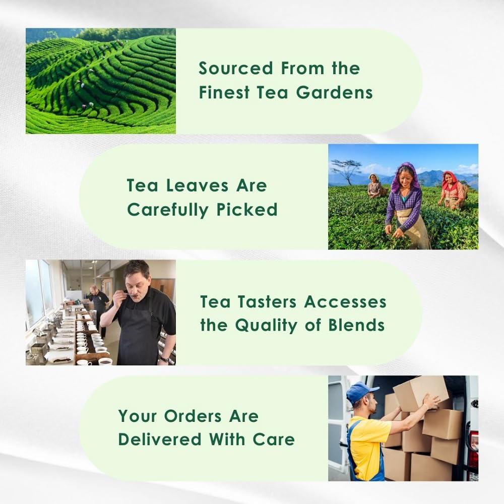 Tea Leaf & Co. Detox Kahwa Green Tea Bags (50 Count), Green Tea with Ginger, Tulsi & Rock Salt, Caffeinated, Natural Green Tea, Blended with Fresh Herbs and Spices, Gluten Free