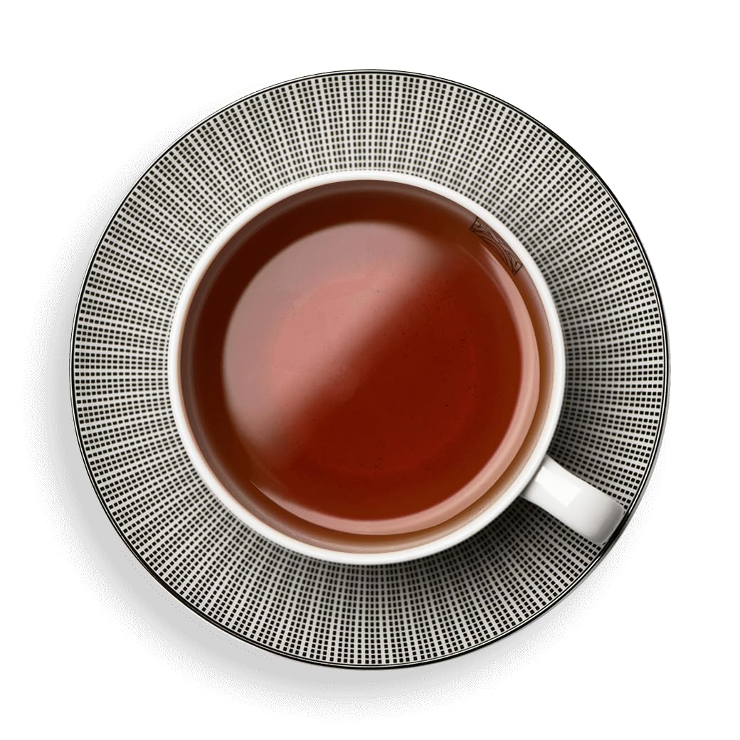 Dammann Freres Satchets, Darjeeling Tea Bags, Premium French Gourmet Black Tea, Individually Wrapped, 24 Count (Single Pack)