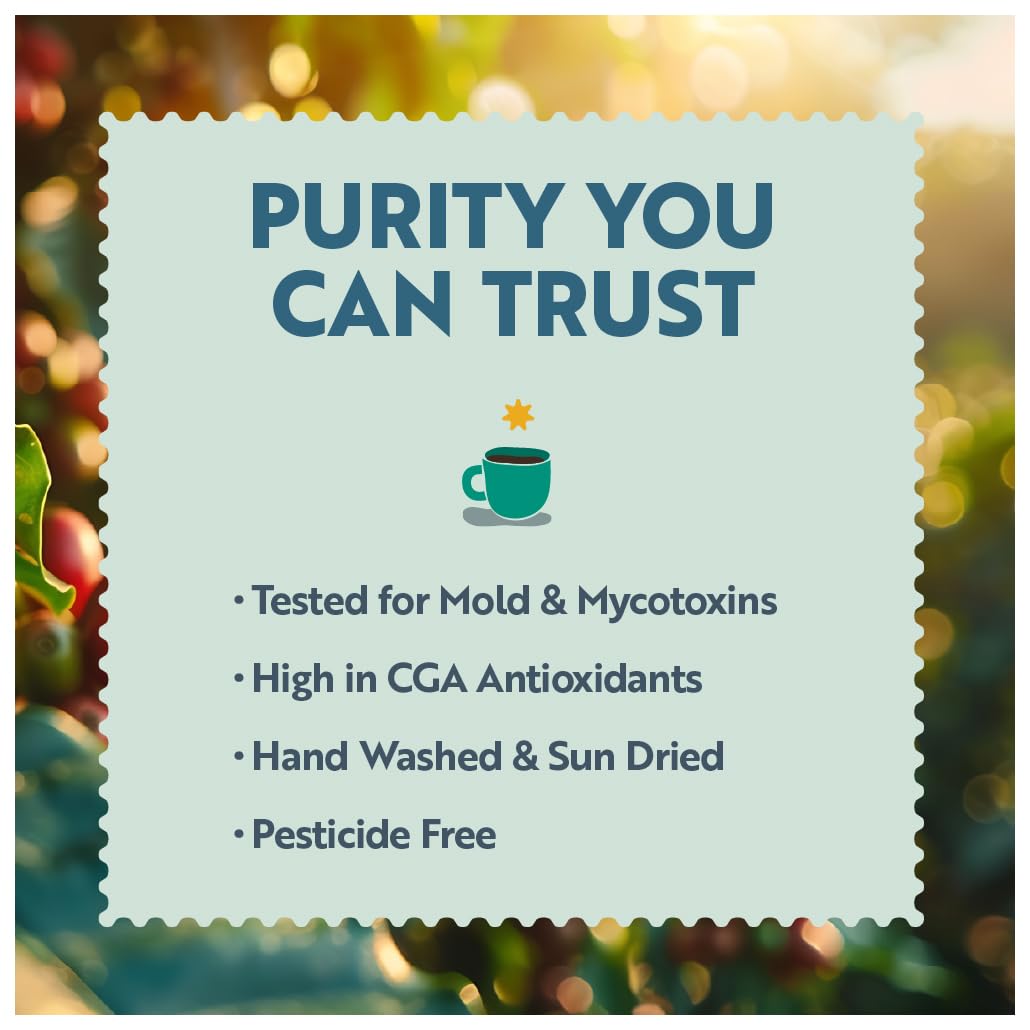 Clean Coffee Co. - Low Acid Espresso Roast, Tested for Molds and Toxins, Sumatra Blend, Notes of Dark Chocolate, Caramel, Toasted Sweetness (Whole Bean, 12 oz Bag)