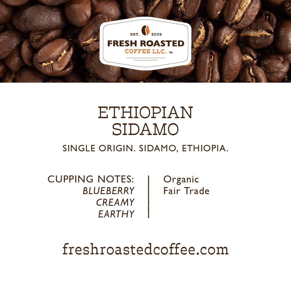 Fresh Roasted Coffee, Organic Ethiopian Sidamo | Fair Trade, USDA Organic, 100% Single Origin, Kosher | Light Roast 72 Pods for K Cup Brewers