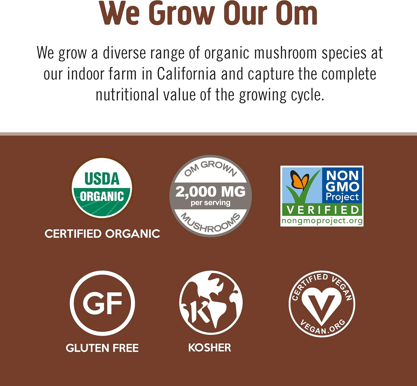 OM MUSHROOM SUPERFOOD Coffee Blend Mushroom Powder, 6.24 Ounce Canister, 30 Servings, Organic Arabica Beans, Lion's Mane, Cordyceps, Turkey Tail, Ginkgo Biloba, Supports Energy and Focus