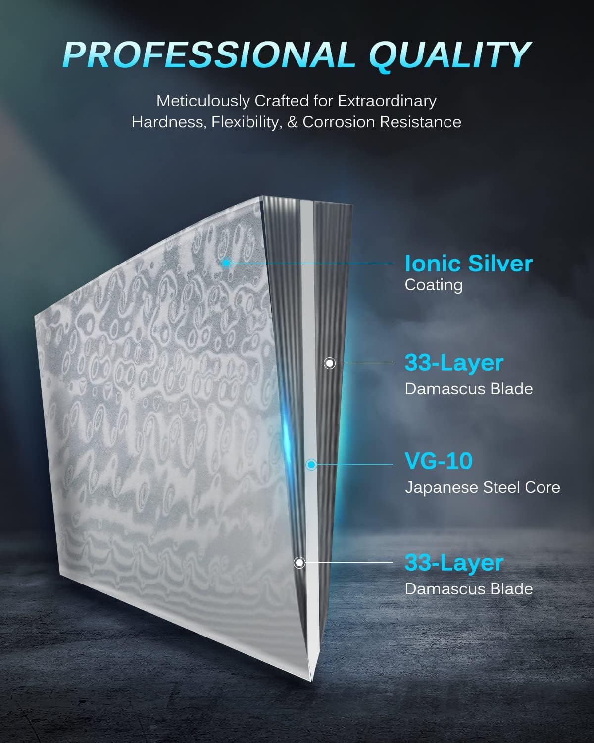 KYOKU Gin Series 10" Bullnose Butcher Knife for Meat Cutting With Silver PVD Coating - Japanese VG10 Steel for Professional Chefs & Home Cooks, Commercial & Home Kitchen