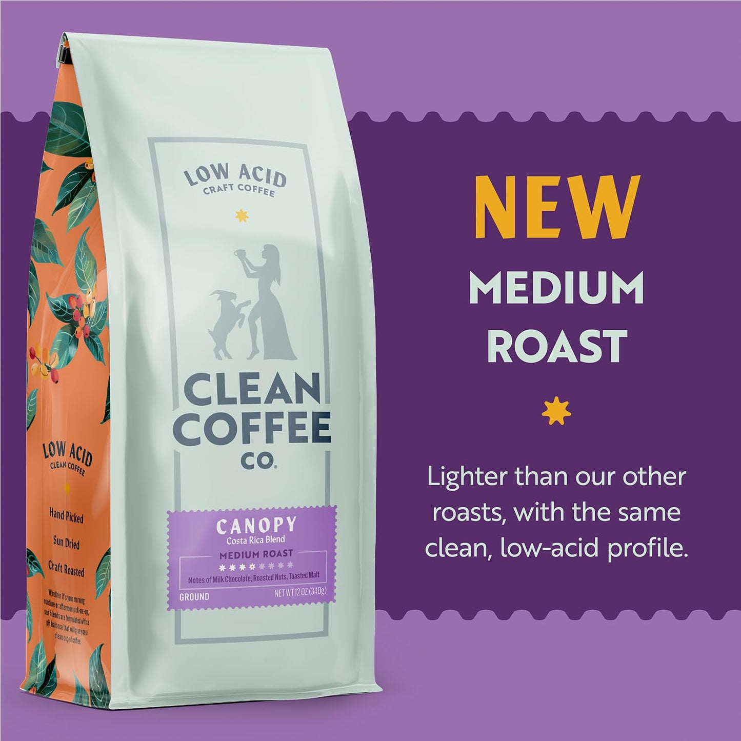 Clean Coffee Co. - Low Acid Medium Roast, Tested for Molds and Toxins, Costa Rica Blend, Notes of Milk Chocolate, Roasted Nuts, Toasted Malt (Ground, 12 oz Bag)