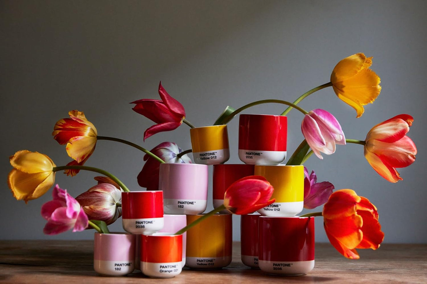 Copenhagen Design Pantone Latte Cup - Double Wall Thermo - Cappuccino Handleless Mug - 7.44oz/220ml, Warm Grey 2