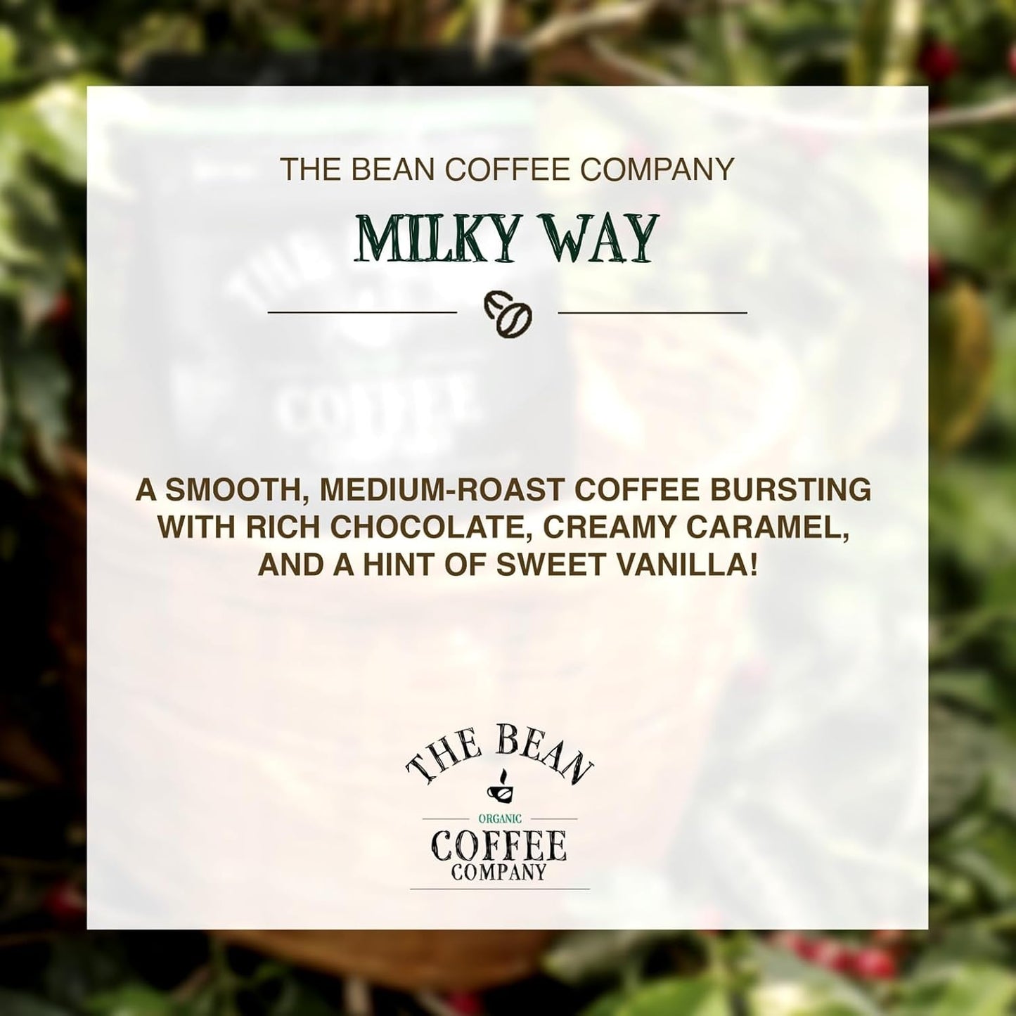 The Bean Organic Coffee Company Milky Way, Medium Roast, Whole Bean Coffee, 16-Ounce Bags (Pack of 2)