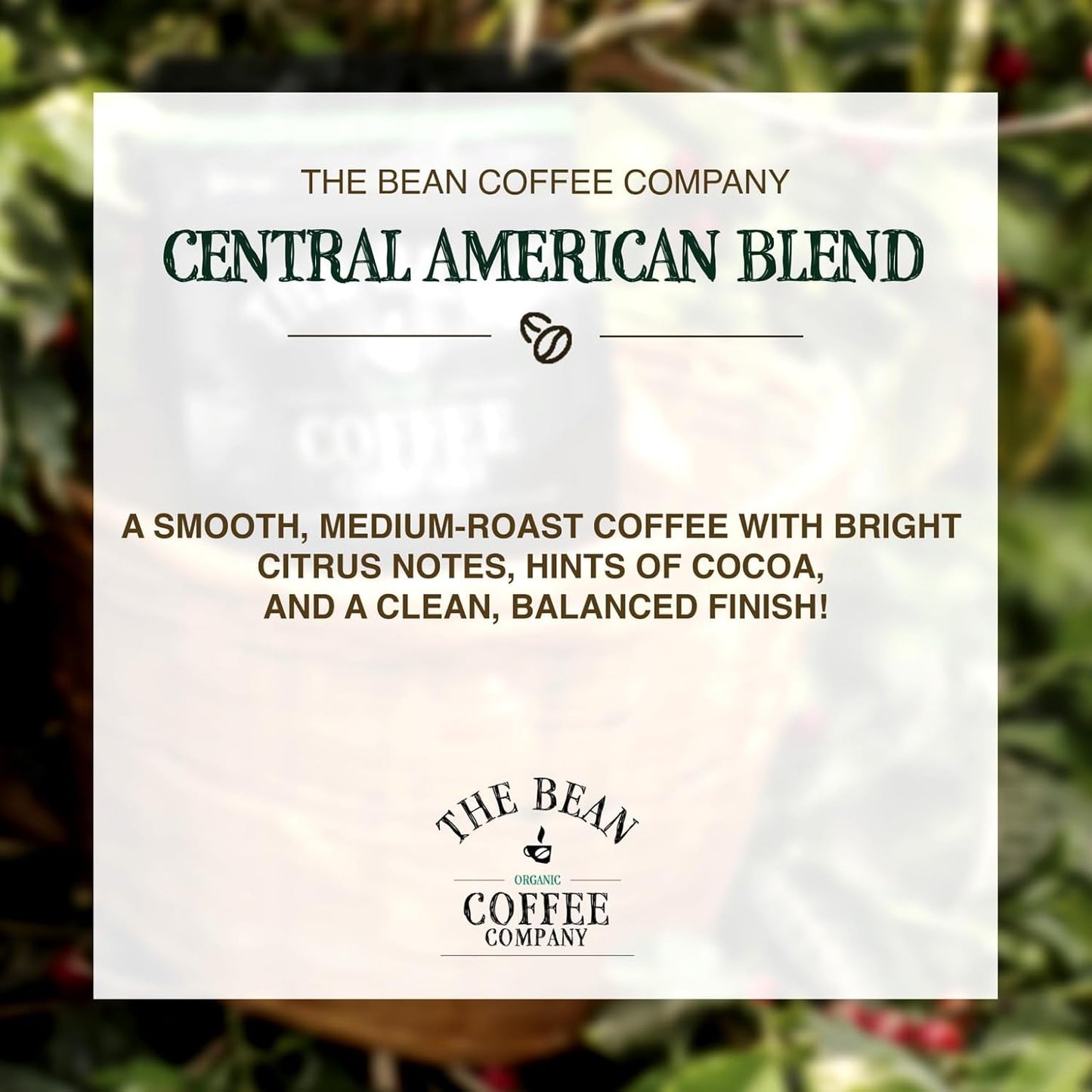 The Bean Organic Coffee Company Central America, Medium Roast, Ground Coffee, 16-Ounce Bag,Café molido tostado organico