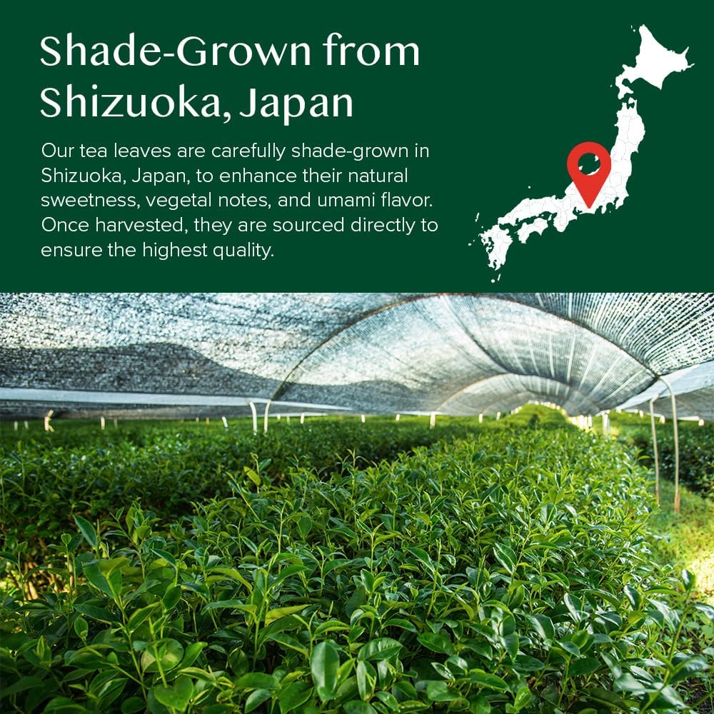 VAHDAM, Japanese Matcha Tea Powder (50 Cups,3.53oz) Sourced from Japan | Authentic Japanese Matcha Green Tea Powder | Classic Culinary Matcha From Japan