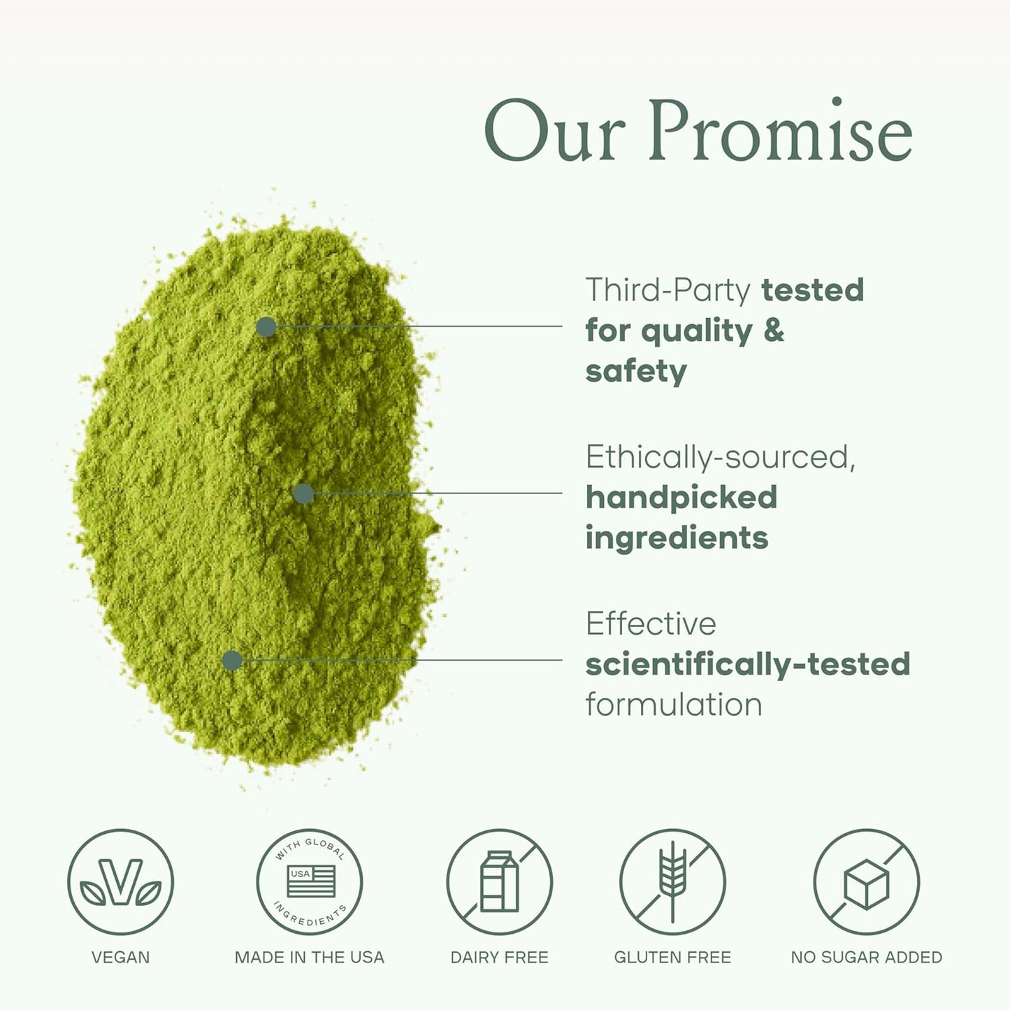 SPACE AND TIME Create - Mushroom Matcha Tea - 20 Cups of Creativity, Energy & Enhanced Mood - Organic Matcha Powder with Lions Mane, L-Theanine & Saffron