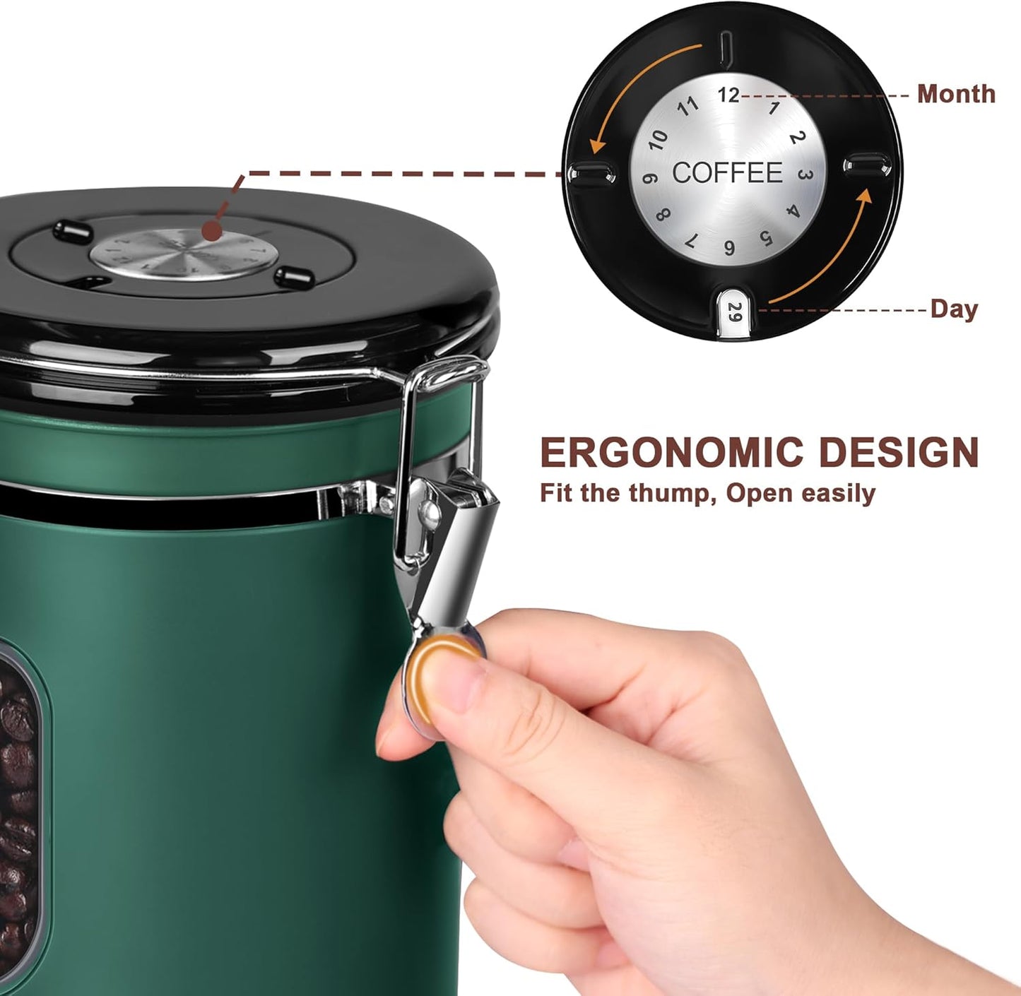 ROCKY&CHAO Airtight Coffee Canister with Date Tracker & Transparent Window, 22OZ Large Tea Coffee Canisters, Coffee Storage Canister, Coffee Container with 30ml Measure Spoon and 4 Co2 Valve(Green)
