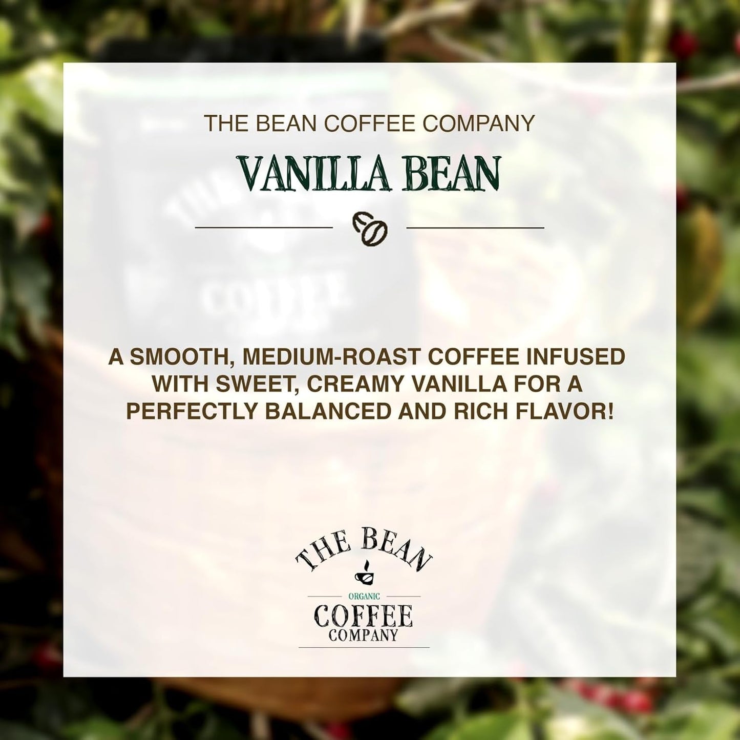 The Bean Organic Coffee Company Vanilla Bean, Medium Roast, Ground Coffee, 16-Ounce Bags (Pack of 2),Café molido tostado organico