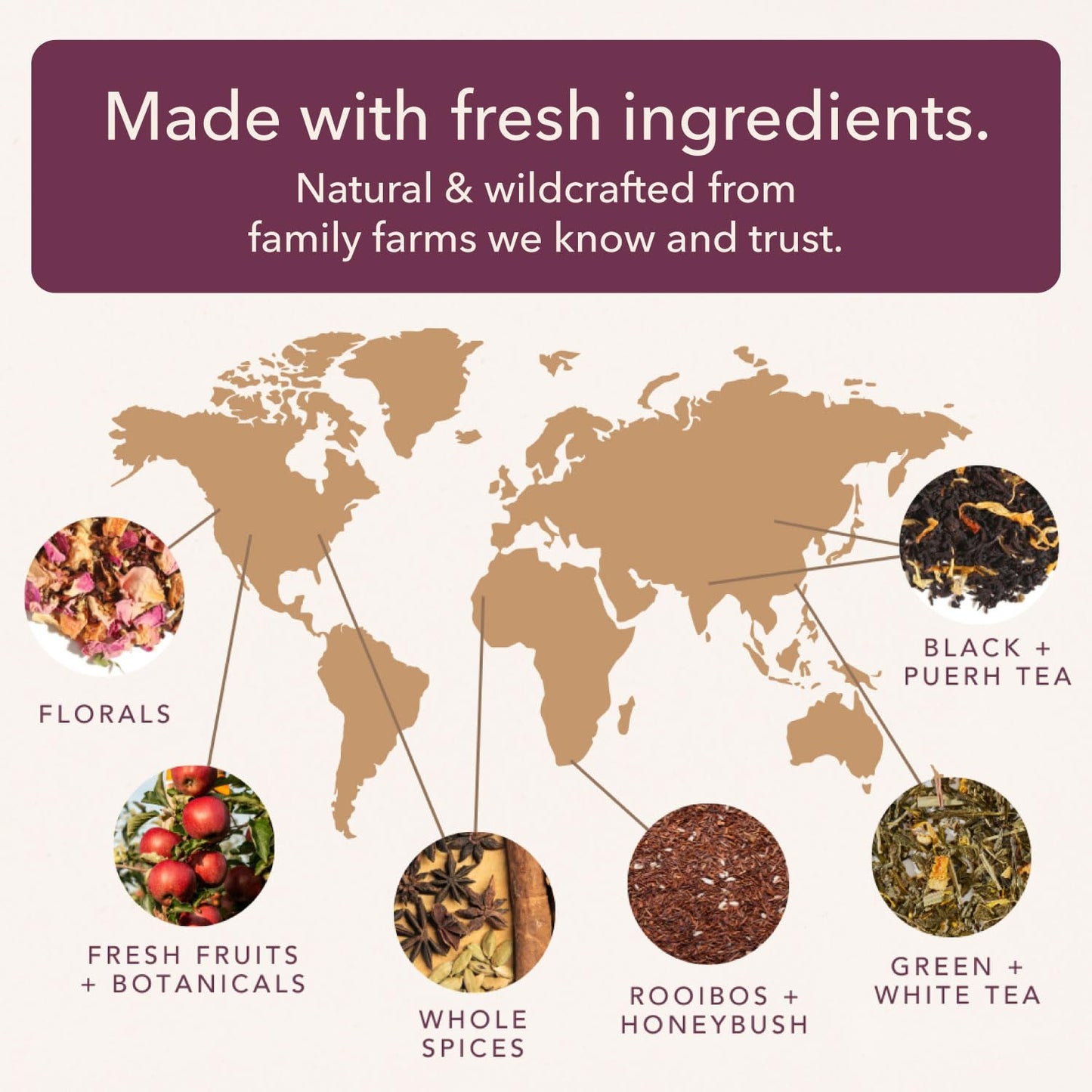 Night Cap Herbal Tea – Sleepytime Loose Leaf Tea for Relaxation & Sleep – With Chamomile, Valerian, Peppermint & Lemon Balm – Makes 60–80 Cups – Caffeine Free – Handcrafted in USA – Plum Deluxe