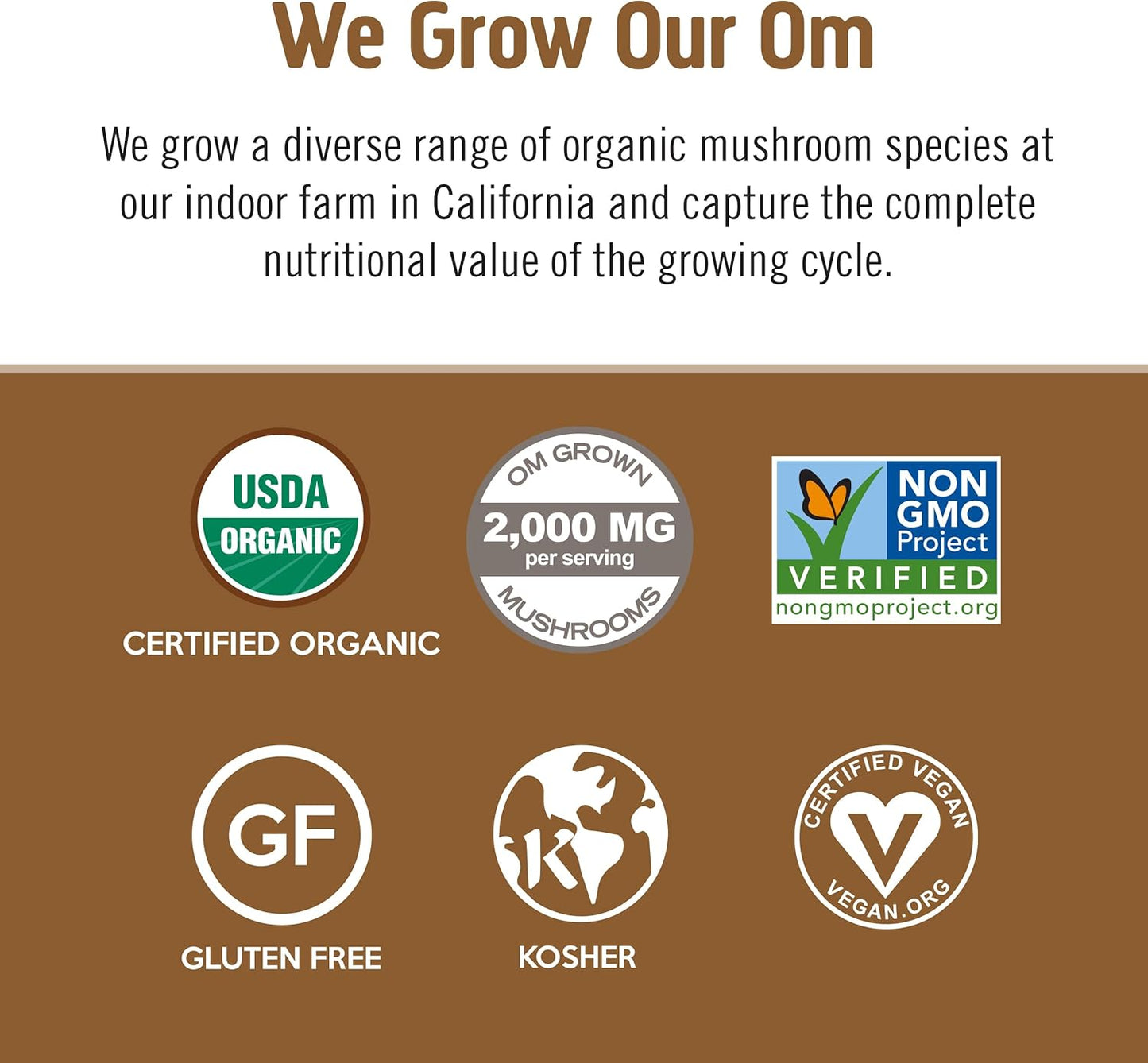 OM MUSHROOM SUPERFOOD Coffee Latte Blend Mushroom Powder, 8.47 Ounce Canister, 30 Servings, Lion's Mane, Cordyceps, Reishi, Chaga, Energy & Mental Clarity Support Supplement