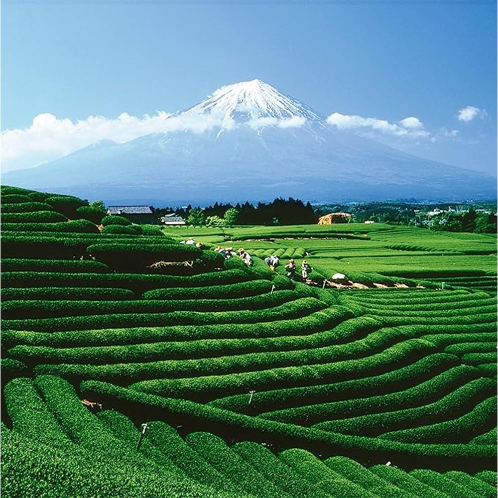 Palais des Thés - Long Jing - Chinese Green Tea - 3.5oz Loose Leaf Metal Gift Tin, Serves 20-25 Cups