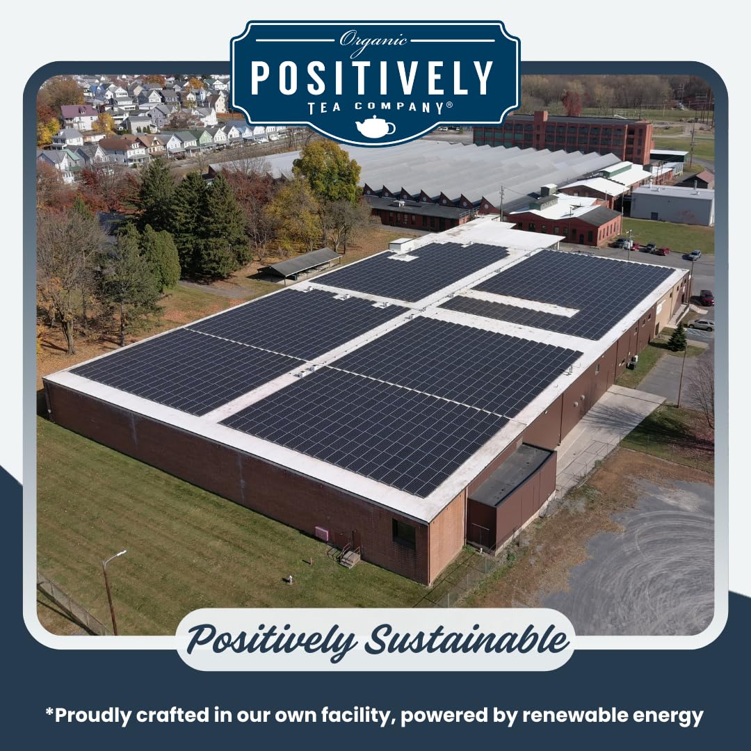 Organic Positively Tea Company, Indian Tea Sampler, Loose Leaf, 4 Ounce, 3 Pack