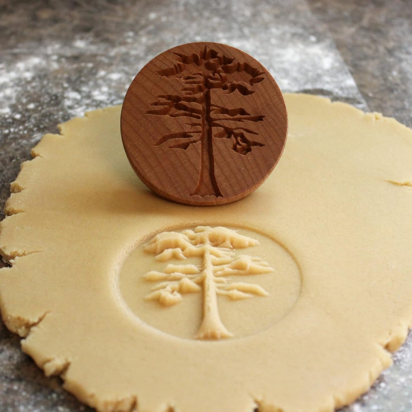 Wood Cookie Stamp, 2.5 Inch (Sequoia Tree CS-065)