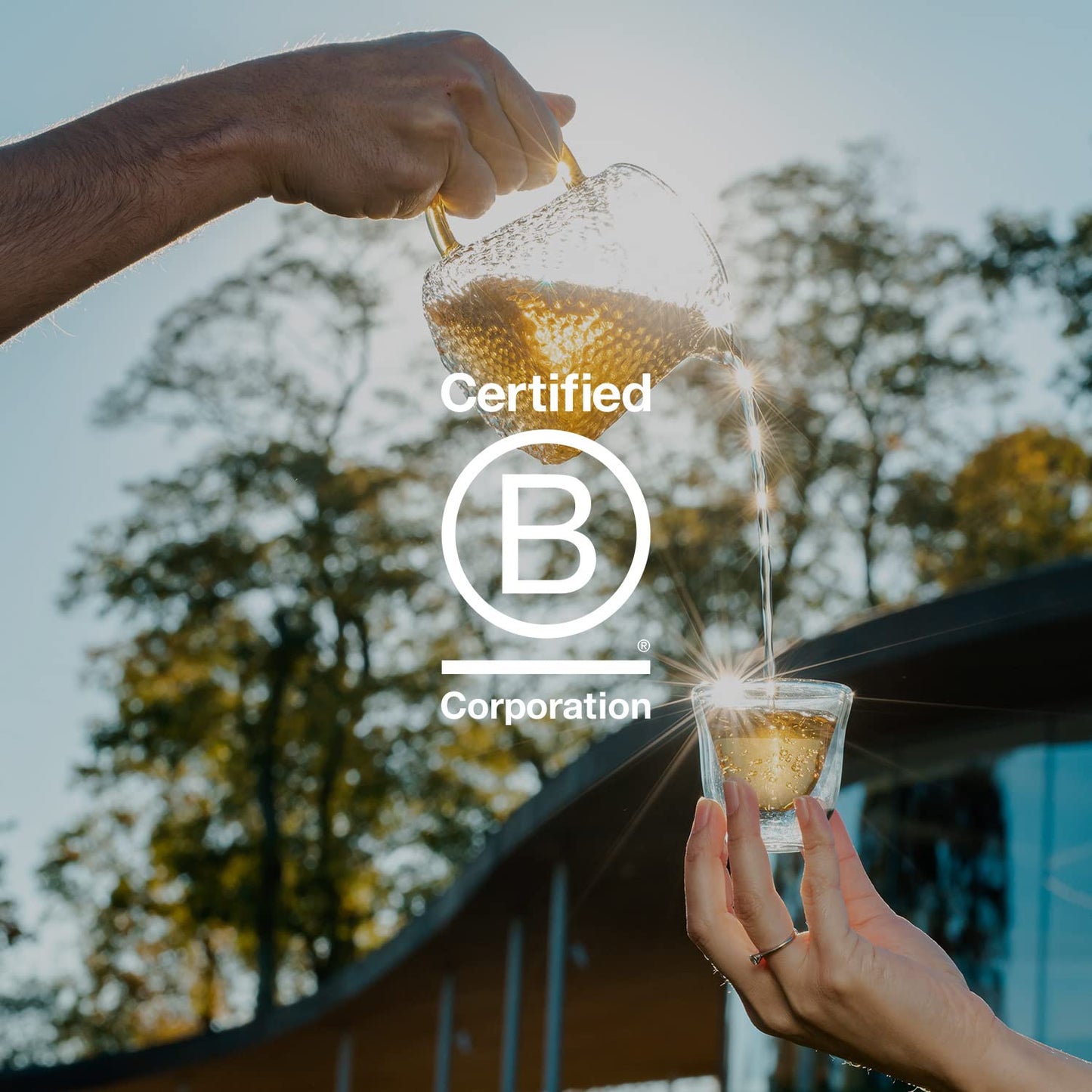 Grace Farms Tea Variety 108 Count Envelopes | Black, Green, and Herbal Individually Wrapped Tea Bags (6 flavors × 18 each) | Fair Trade, USDA Organic, Kosher Tea Variety Pack