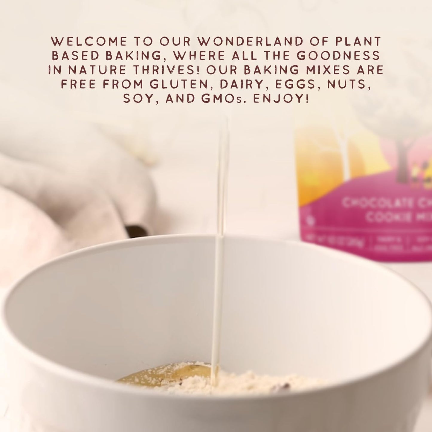 Autumn Sons Baking Co. Gluten Free Chocolate Chunk Cookie Mix. Vegan Plant Based Baking Mix. Free From 11 Common Allergens. Dairy Free, Nut Free, Soy Free, Non GMO 9.3 oz (Pack of 3)