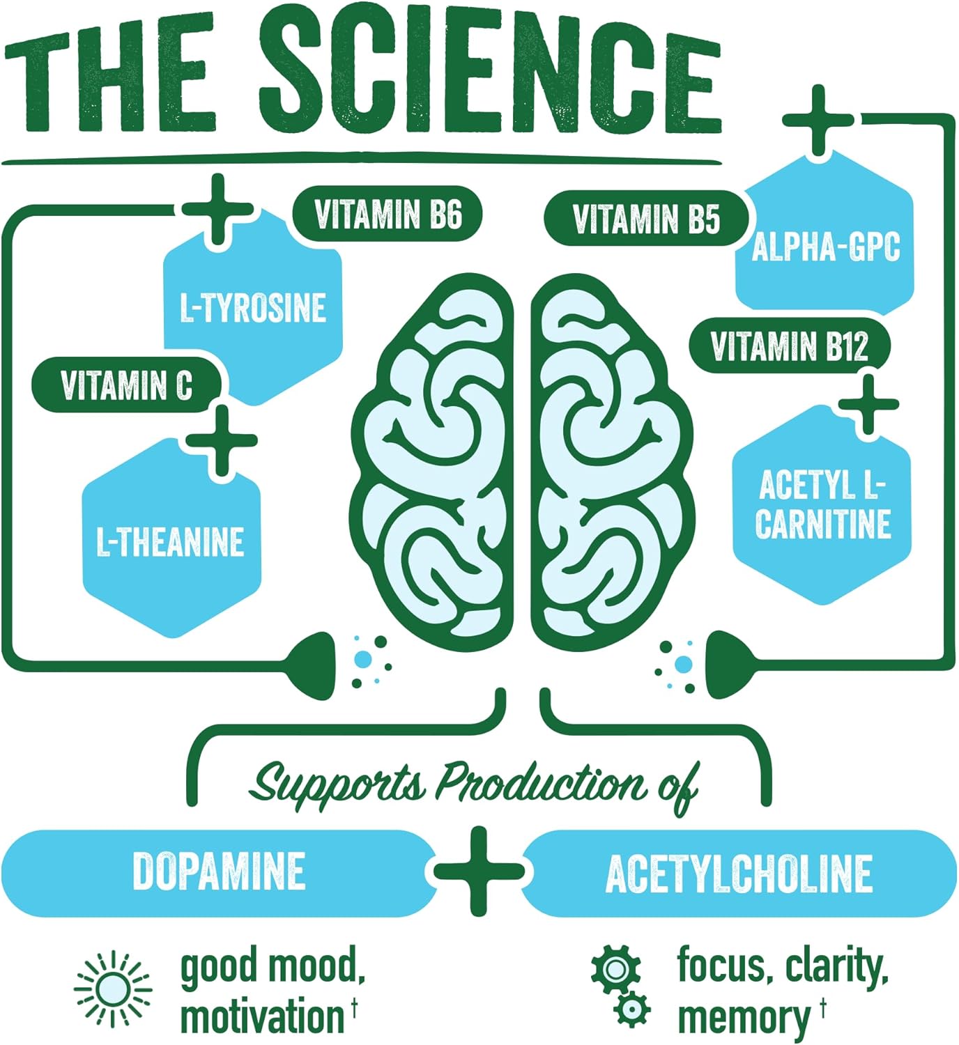 BrainJuice Decaf Brain Support Shot, Gluten Free Supplement Shots for Energy & Focus, Healthy Drinks with Alpha GPC, Vitamin B & Decaffeinated Green Tea Leaf, Classic, 2.5 fl oz, 12 Pack