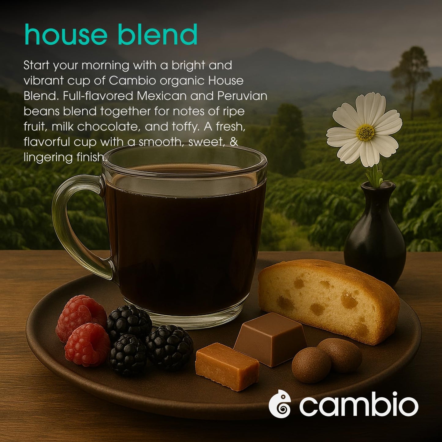 Cambio Roasters House Blend Coffee Pods - New Aluminum Pods, Organic Coffee K Cups, Medium Roast K Cup Coffee, Works With Keurig, 60 Count