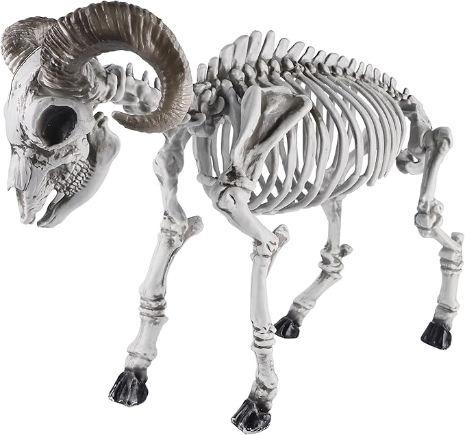 DR.DUDU Goat Skeletons Halloween Decorations – 26 Inch Long Life Size Skeleton Animals for Outdoor, Yard, Lawn Decor - Realistic Farm Skeleton Goat Party Props Scary Halloween Décor