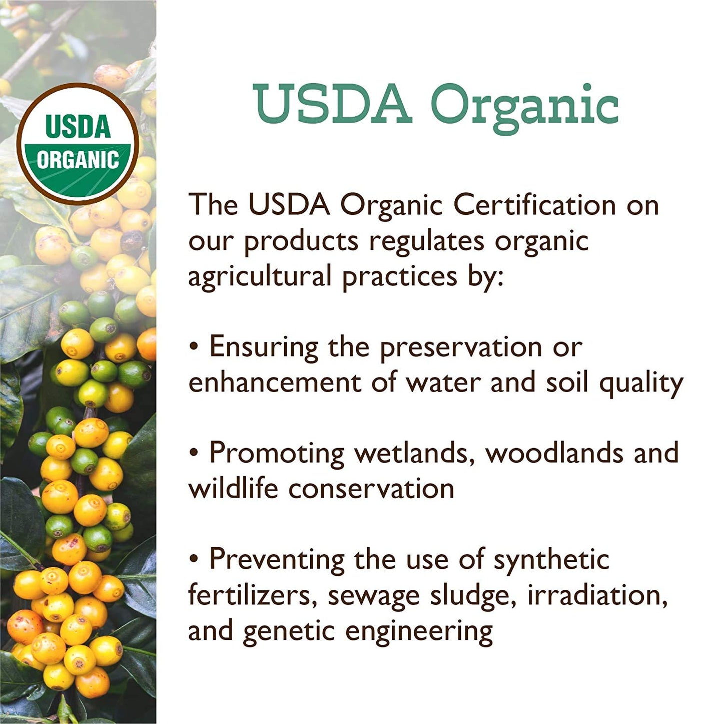 Fresh Roasted Coffee, Organic White Knight | USDA Organic, Kosher | Light Roast 24 Pods for K Cup Brewers