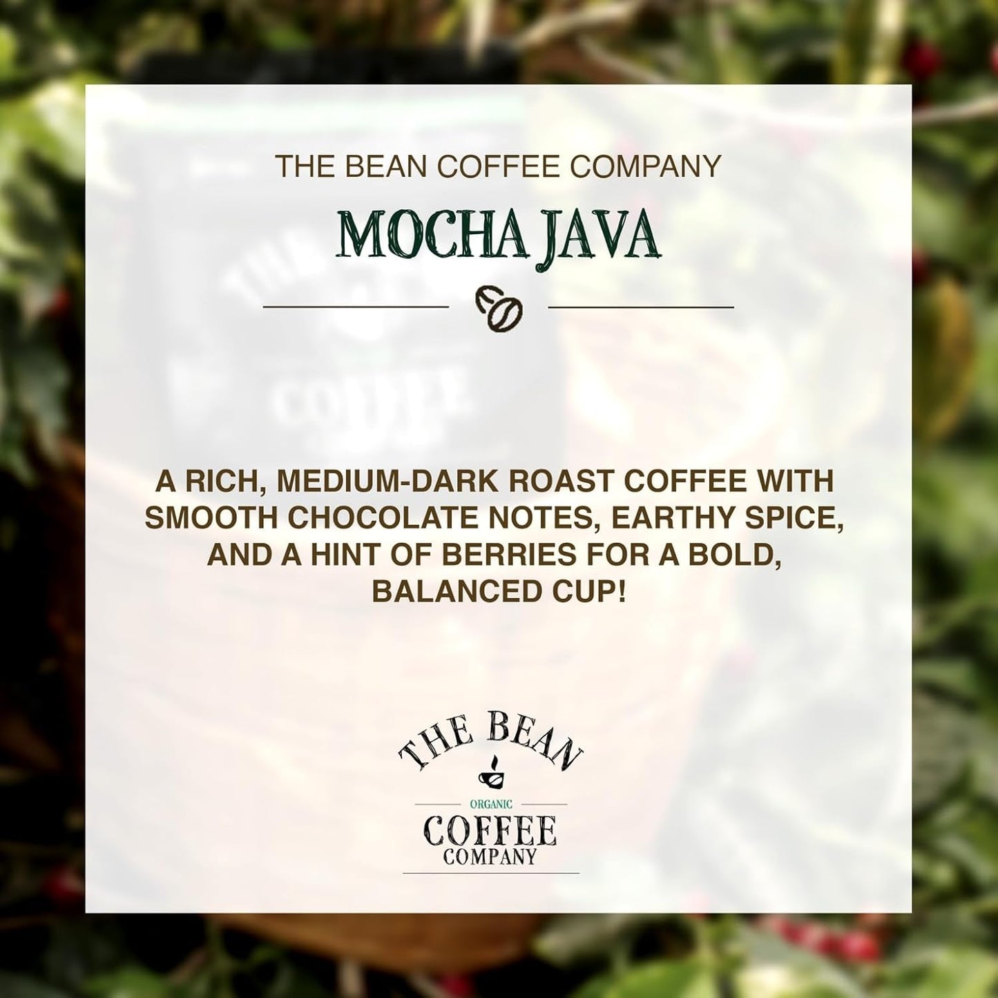 The Bean Organic Coffee Company Mocha Java, Medium Roast, Ground Coffee, 16-Ounce Bag,Café molido tostado organico