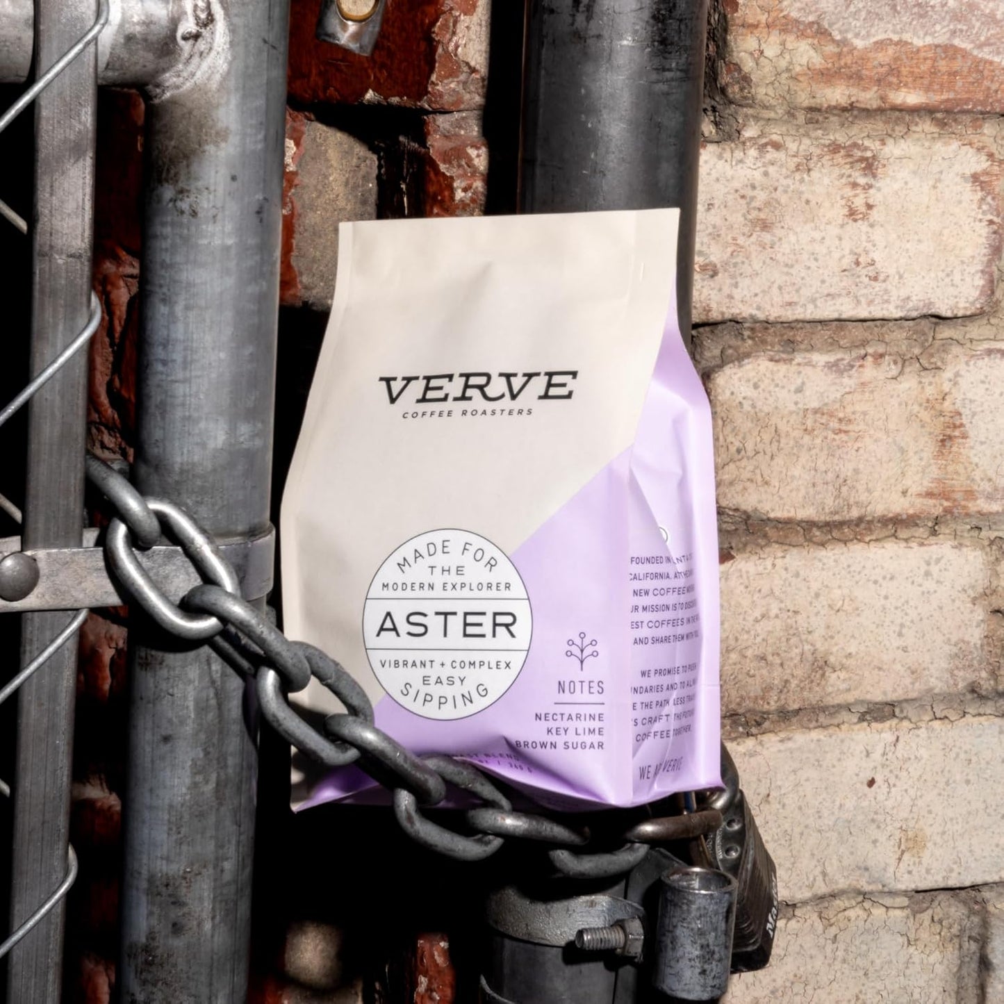 Verve Whole Bean Coffee | Aster Blend | Medium Roast Coffee Beans, Brewed or Espresso | Ethiopian Blend, Resealable Pouch | Hot or Cold Brew | Nectarine, Key Lime & Brown Sugar Notes | 12oz Bag