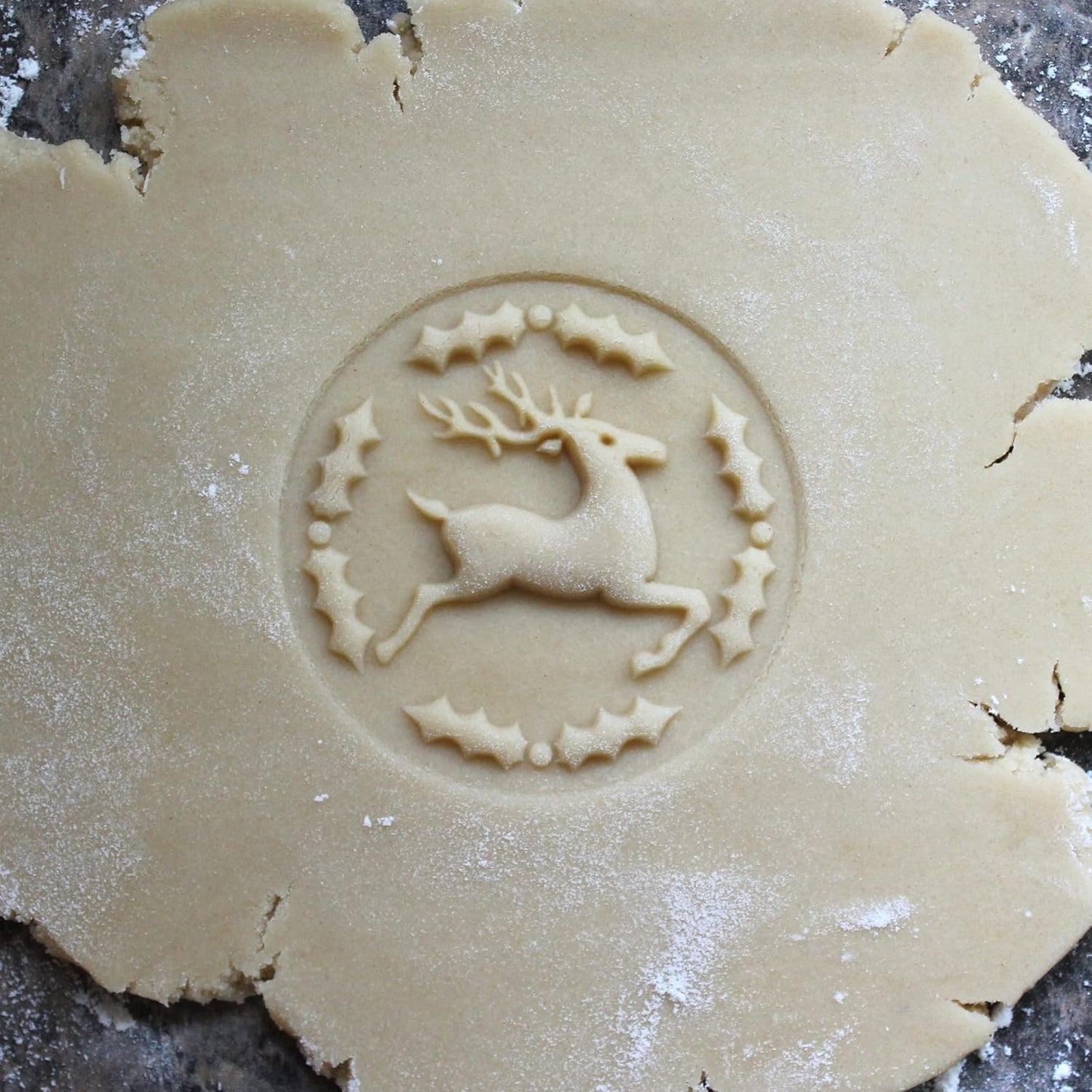 Wood Cookie Stamp, 2.5 Inch (Reindeer and Holly CS-049)