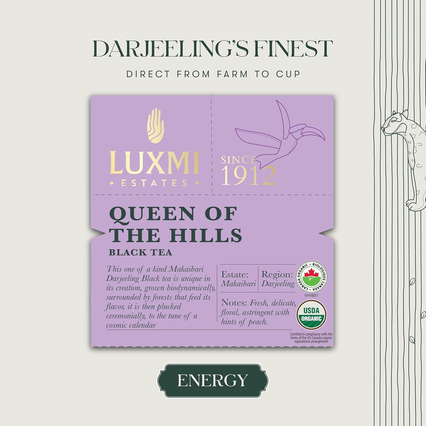 Luxmi Estates - Queen of the Hills - Organic Black Tea - Loose Leaf - 100g (50 Cups) | Freshly Harvested Organic Makaibari Darjeeling Tea | Best Natural Flavor Tea The World Has To Offer
