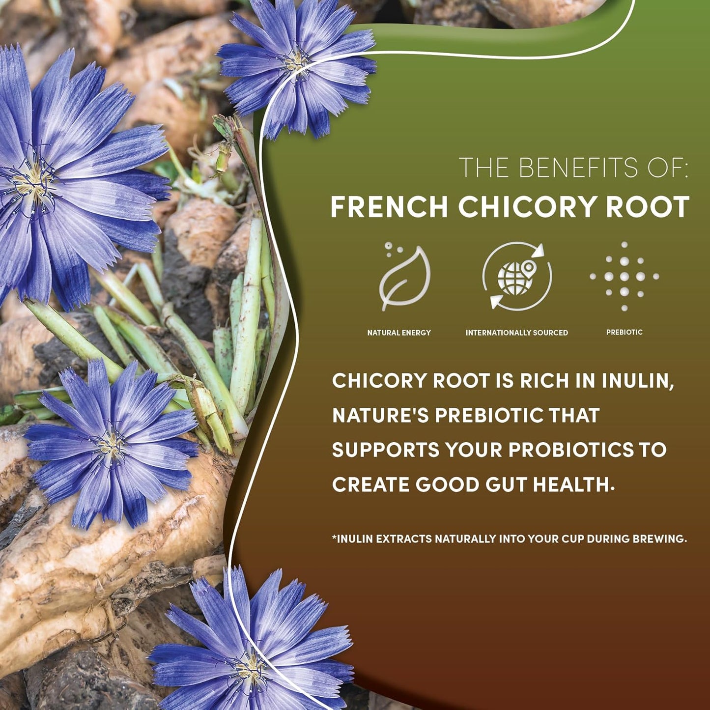 Teeccino French Roast Chicory Coffee Alternative - Ground Herbal Coffee That’s Prebiotic, Caffeine-Free & Acid Free, Dark Roast, 11 Ounce (Pack of 6)
