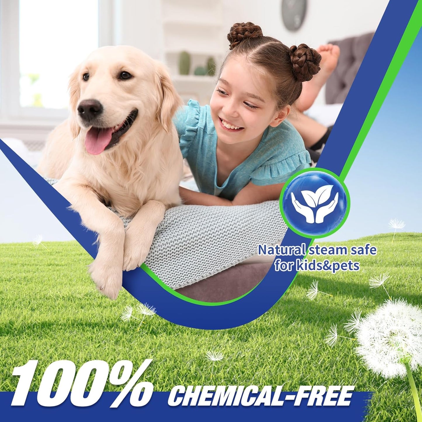 TOTTE Handheld Pressurized Steam Cleaner, 2500W Pressure Portable Cleaner with 3 Brush, 6-gears adjustable for Home Use, Floor, Kitchen,Bathroom, Car (White)