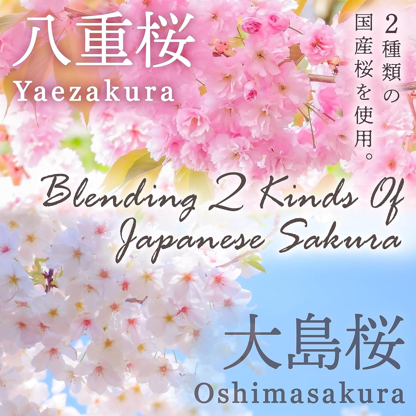 YAMASAN KYOTO UJI Sakura Latte -Creamy and Aromatic Foam- Using Japanese Cherry Blossom 100%, Made in Japan,Sold by Japanese company, 100g(3.5oz)