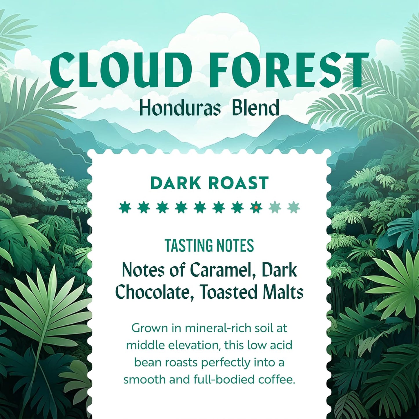 Clean Coffee Co. - Low Acid Dark Roast, Tested for Molds and Toxins, Honduras Blend, Notes of Caramel, Dark Chocolate, and Toasted Malts (Ground, 12 oz Bag)