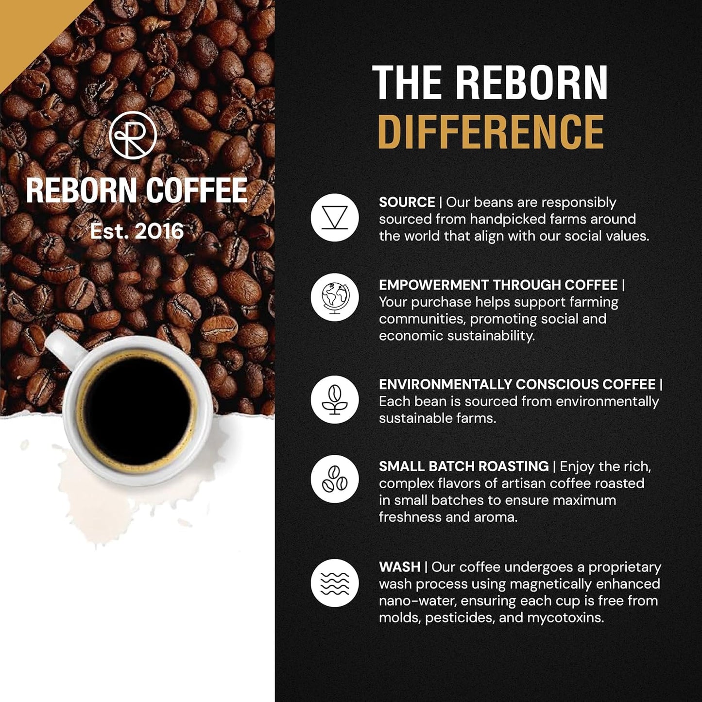 Reborn Coffee Specialty Whole Bean Coffee, Medium Roast, 12 Ounce, Reborn Signature Floresta Espresso Blend, Flavor Notes of Chocolate, Vanilla, and Orange