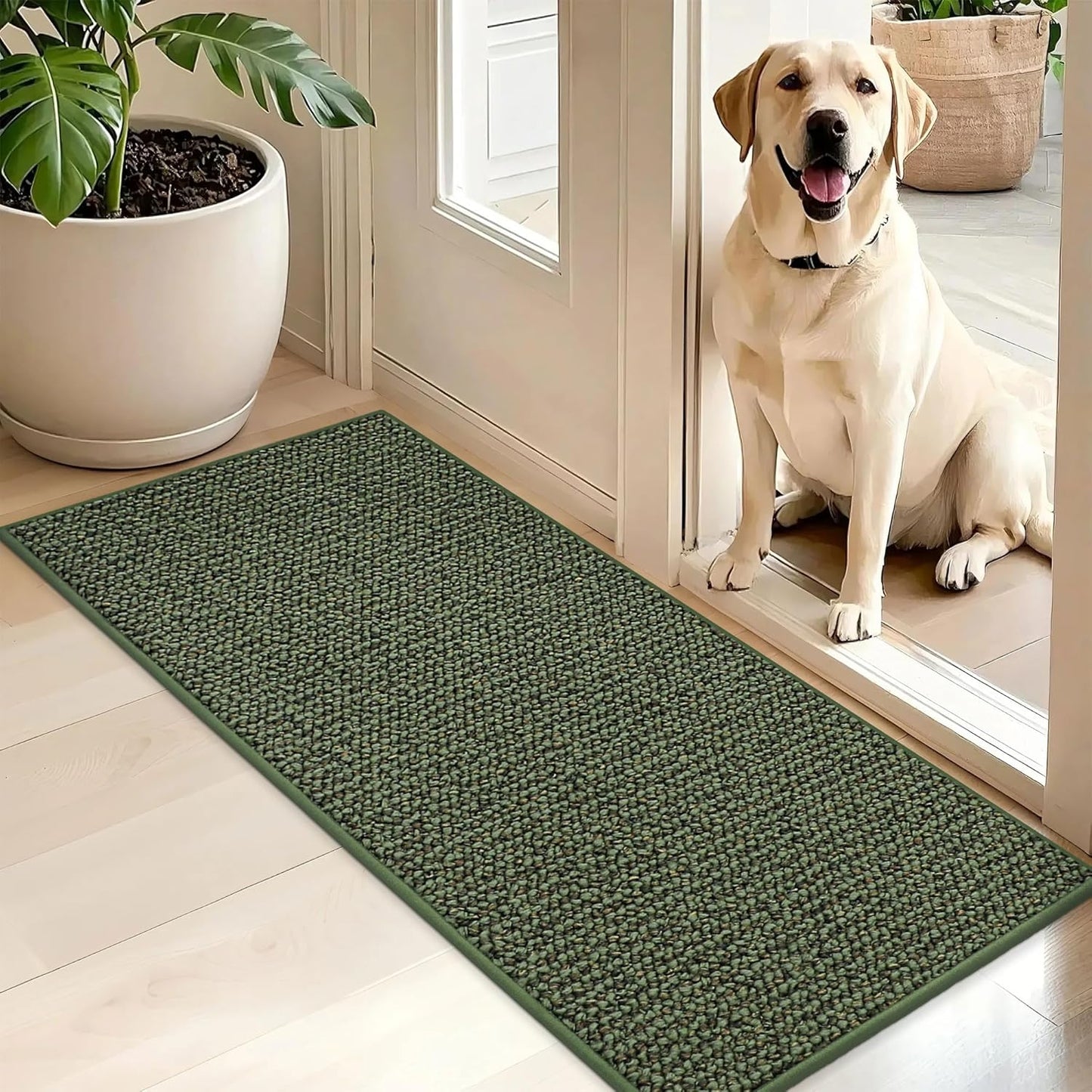 BEQHAUSE Dirt Trapper Door Mat 20" x 48", Non-Slip Washable Doormats Entrance Mat, Dirt Resistant and Absorbent Welcome Mat, Low Profile Floor Mats for Front Back Door and Entryway, Green